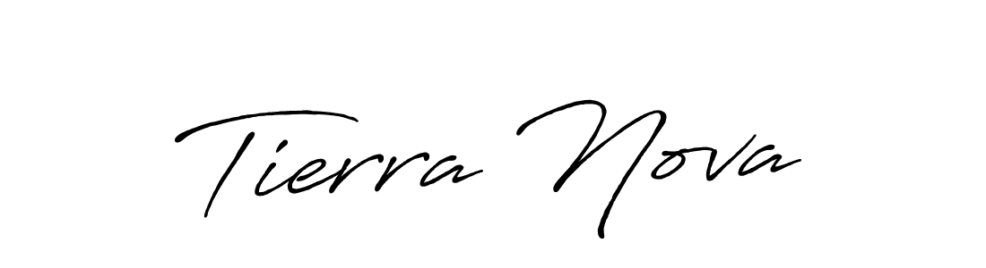 The best way (Antro_Vectra_Bolder) to make a short signature is to pick only two or three words in your name. The name Tierra Nova include a total of six letters. For converting this name. Tierra Nova signature style 7 images and pictures png