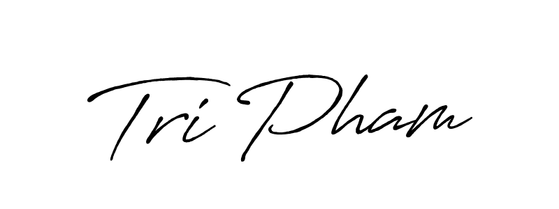 You can use this online signature creator to create a handwritten signature for the name Tri Pham. This is the best online autograph maker. Tri Pham signature style 7 images and pictures png