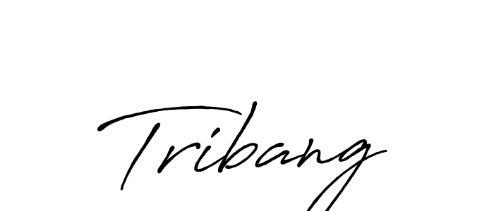 Here are the top 10 professional signature styles for the name Tribang. These are the best autograph styles you can use for your name. Tribang signature style 7 images and pictures png