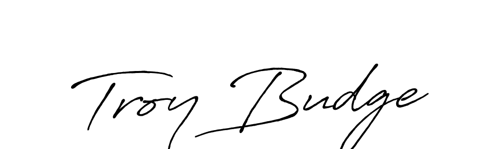 You can use this online signature creator to create a handwritten signature for the name Troy Budge. This is the best online autograph maker. Troy Budge signature style 7 images and pictures png