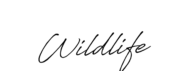 Wildlife stylish signature style. Best Handwritten Sign (Antro_Vectra_Bolder) for my name. Handwritten Signature Collection Ideas for my name Wildlife. Wildlife signature style 7 images and pictures png