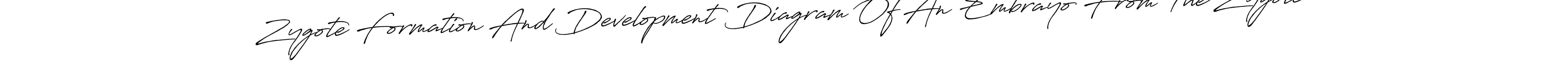 The best way (Antro_Vectra_Bolder) to make a short signature is to pick only two or three words in your name. The name Zygote Formation And Development Diagram Of An Embrayo From The Zygote include a total of six letters. For converting this name. Zygote Formation And Development Diagram Of An Embrayo From The Zygote signature style 7 images and pictures png