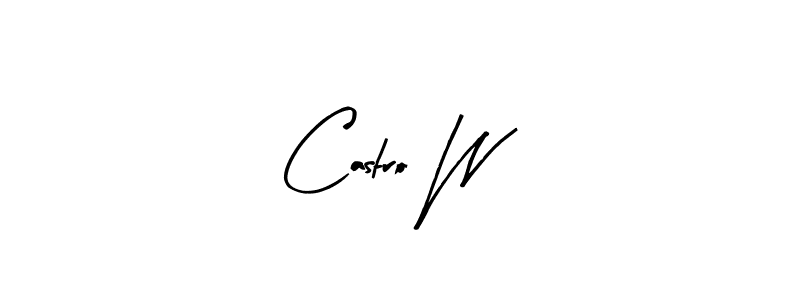 Design your own signature with our free online signature maker. With this signature software, you can create a handwritten (Arty Signature) signature for name Castro W. Castro W signature style 8 images and pictures png