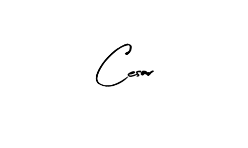 Design your own signature with our free online signature maker. With this signature software, you can create a handwritten (Arty Signature) signature for name Cesar. Cesar signature style 8 images and pictures png