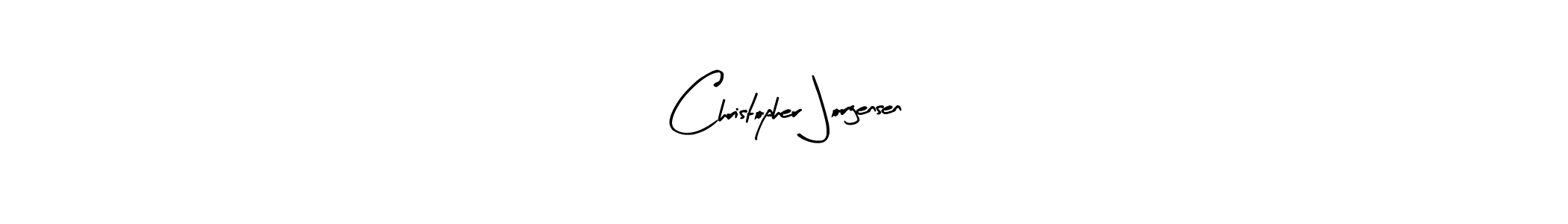 Design your own signature with our free online signature maker. With this signature software, you can create a handwritten (Arty Signature) signature for name Christopher Jorgensen. Christopher Jorgensen signature style 8 images and pictures png