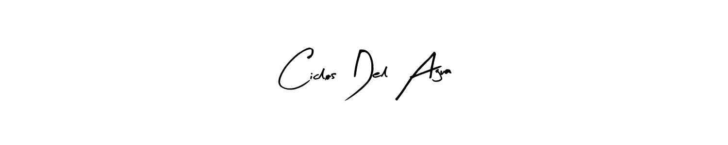 You should practise on your own different ways (Arty Signature) to write your name (Ciclos Del Agua) in signature. don't let someone else do it for you. Ciclos Del Agua signature style 8 images and pictures png