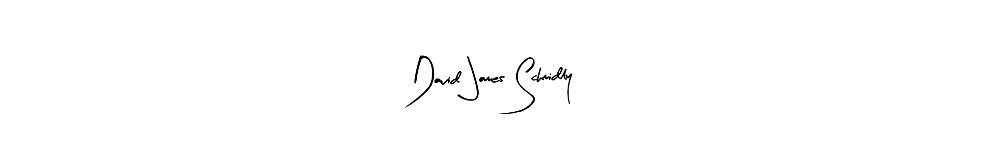 David James Schmidly stylish signature style. Best Handwritten Sign (Arty Signature) for my name. Handwritten Signature Collection Ideas for my name David James Schmidly. David James Schmidly signature style 8 images and pictures png