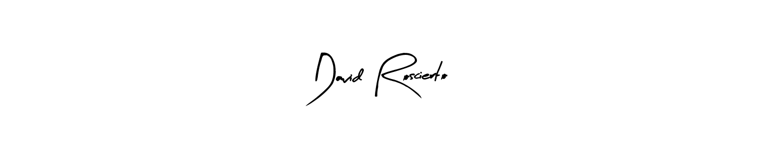 Design your own signature with our free online signature maker. With this signature software, you can create a handwritten (Arty Signature) signature for name David Roscierto. David Roscierto signature style 8 images and pictures png