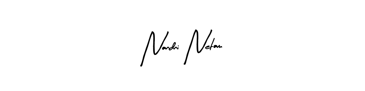 How to make Nandni Netam signature? Arty Signature is a professional autograph style. Create handwritten signature for Nandni Netam name. Nandni Netam signature style 8 images and pictures png