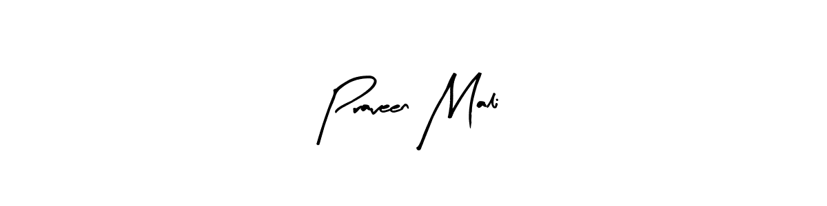 Use a signature maker to create a handwritten signature online. With this signature software, you can design (Arty Signature) your own signature for name Praveen Mali. Praveen Mali signature style 8 images and pictures png