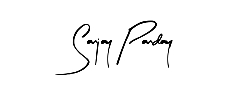 Create a beautiful signature design for name Sanjay Panday. With this signature (Arty Signature) fonts, you can make a handwritten signature for free. Sanjay Panday signature style 8 images and pictures png