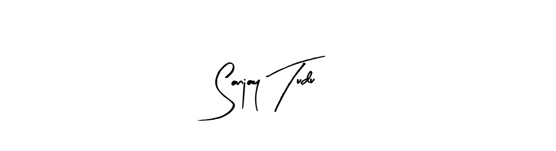Design your own signature with our free online signature maker. With this signature software, you can create a handwritten (Arty Signature) signature for name Sanjay Tudu. Sanjay Tudu signature style 8 images and pictures png
