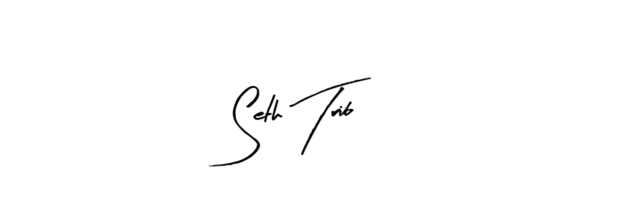 Seth Trib stylish signature style. Best Handwritten Sign (Arty Signature) for my name. Handwritten Signature Collection Ideas for my name Seth Trib. Seth Trib signature style 8 images and pictures png