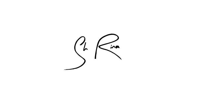 Use a signature maker to create a handwritten signature online. With this signature software, you can design (Arty Signature) your own signature for name Sh Rina. Sh Rina signature style 8 images and pictures png