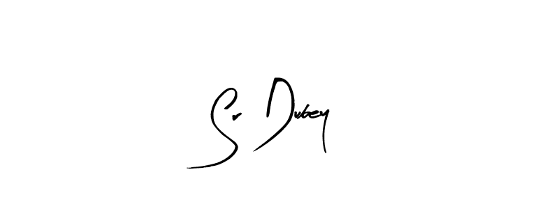 Similarly Arty Signature is the best handwritten signature design. Signature creator online .You can use it as an online autograph creator for name Sr Dubey. Sr Dubey signature style 8 images and pictures png