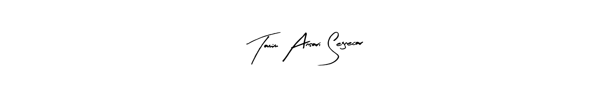 Create a beautiful signature design for name Tamim Ansari Segnecar. With this signature (Arty Signature) fonts, you can make a handwritten signature for free. Tamim Ansari Segnecar signature style 8 images and pictures png