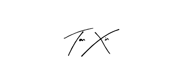 Tan Xin stylish signature style. Best Handwritten Sign (Arty Signature) for my name. Handwritten Signature Collection Ideas for my name Tan Xin. Tan Xin signature style 8 images and pictures png