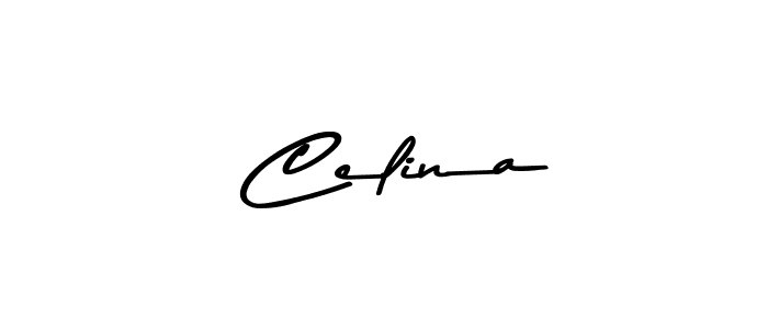 You should practise on your own different ways (Asem Kandis PERSONAL USE) to write your name ( Celina) in signature. don't let someone else do it for you.  Celina signature style 9 images and pictures png