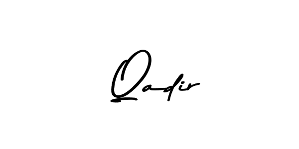 Make a beautiful signature design for name  Qadir. Use this online signature maker to create a handwritten signature for free.  Qadir signature style 9 images and pictures png