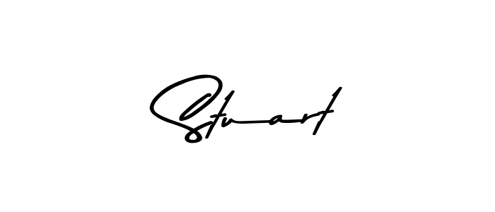You should practise on your own different ways (Asem Kandis PERSONAL USE) to write your name ( Stuart) in signature. don't let someone else do it for you.  Stuart signature style 9 images and pictures png