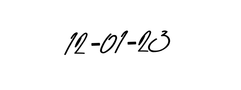 How to make 12-01-23 signature? Asem Kandis PERSONAL USE is a professional autograph style. Create handwritten signature for 12-01-23 name. 12-01-23 signature style 9 images and pictures png