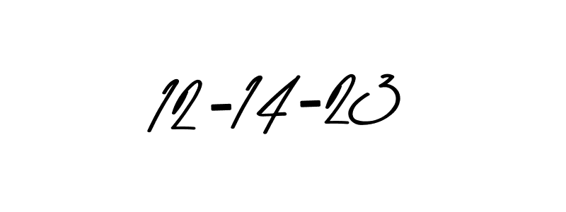 You should practise on your own different ways (Asem Kandis PERSONAL USE) to write your name (12-14-23) in signature. don't let someone else do it for you. 12-14-23 signature style 9 images and pictures png