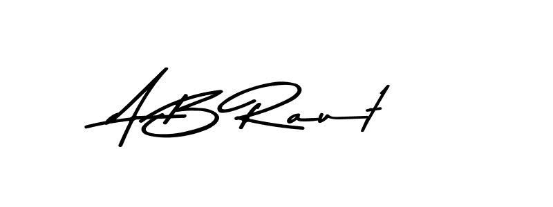 You should practise on your own different ways (Asem Kandis PERSONAL USE) to write your name (A B Raut) in signature. don't let someone else do it for you. A B Raut signature style 9 images and pictures png