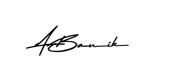 You should practise on your own different ways (Asem Kandis PERSONAL USE) to write your name (A Banik) in signature. don't let someone else do it for you. A Banik signature style 9 images and pictures png