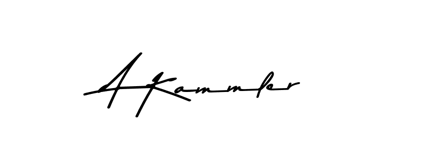 A Kammler stylish signature style. Best Handwritten Sign (Asem Kandis PERSONAL USE) for my name. Handwritten Signature Collection Ideas for my name A Kammler. A Kammler signature style 9 images and pictures png