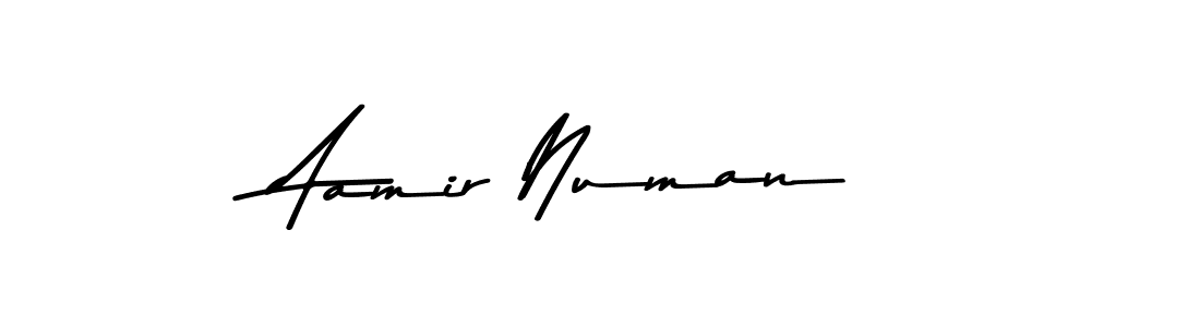 Use a signature maker to create a handwritten signature online. With this signature software, you can design (Asem Kandis PERSONAL USE) your own signature for name Aamir Numan. Aamir Numan signature style 9 images and pictures png