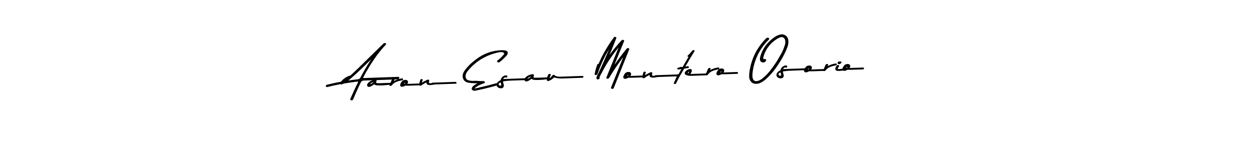 Make a beautiful signature design for name Aaron Esau Montero Osorio. Use this online signature maker to create a handwritten signature for free. Aaron Esau Montero Osorio signature style 9 images and pictures png