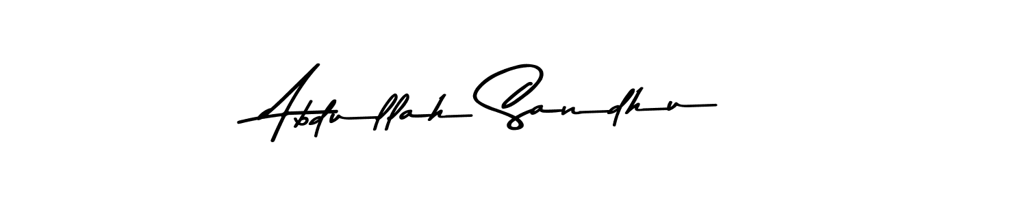You should practise on your own different ways (Asem Kandis PERSONAL USE) to write your name (Abdullah Sandhu) in signature. don't let someone else do it for you. Abdullah Sandhu signature style 9 images and pictures png