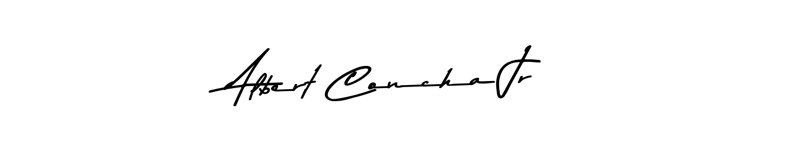 Similarly Asem Kandis PERSONAL USE is the best handwritten signature design. Signature creator online .You can use it as an online autograph creator for name Albert Concha Jr. Albert Concha Jr signature style 9 images and pictures png