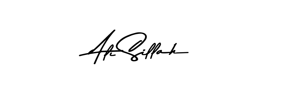 Design your own signature with our free online signature maker. With this signature software, you can create a handwritten (Asem Kandis PERSONAL USE) signature for name Ali Sillah. Ali Sillah signature style 9 images and pictures png