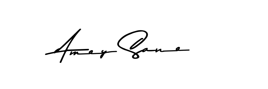 How to make Amey Sane signature? Asem Kandis PERSONAL USE is a professional autograph style. Create handwritten signature for Amey Sane name. Amey Sane signature style 9 images and pictures png