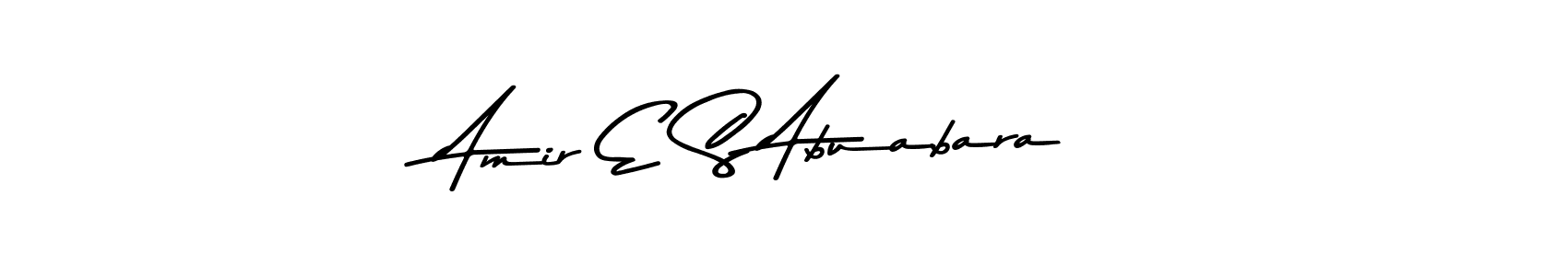 Make a beautiful signature design for name Amir E S Abuabara. Use this online signature maker to create a handwritten signature for free. Amir E S Abuabara signature style 9 images and pictures png