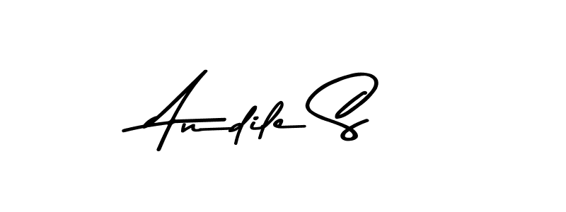 Here are the top 10 professional signature styles for the name Andile S. These are the best autograph styles you can use for your name. Andile S signature style 9 images and pictures png