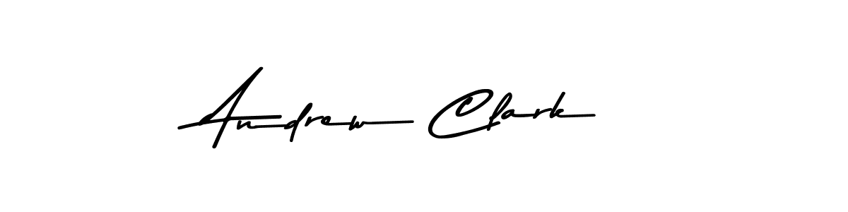 Andrew Clark stylish signature style. Best Handwritten Sign (Asem Kandis PERSONAL USE) for my name. Handwritten Signature Collection Ideas for my name Andrew Clark. Andrew Clark signature style 9 images and pictures png