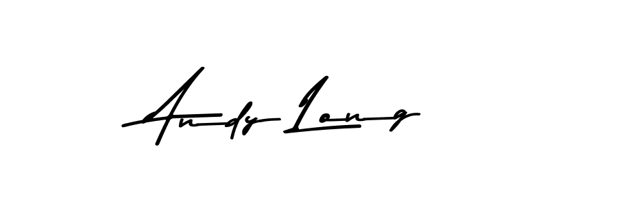 You should practise on your own different ways (Asem Kandis PERSONAL USE) to write your name (Andy Long) in signature. don't let someone else do it for you. Andy Long signature style 9 images and pictures png