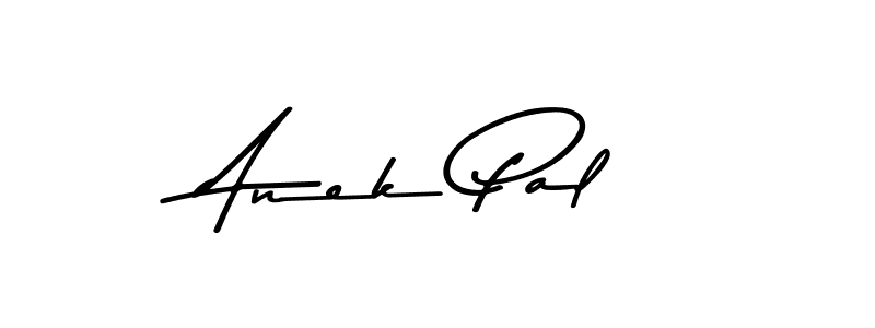 You should practise on your own different ways (Asem Kandis PERSONAL USE) to write your name (Anek Pal) in signature. don't let someone else do it for you. Anek Pal signature style 9 images and pictures png