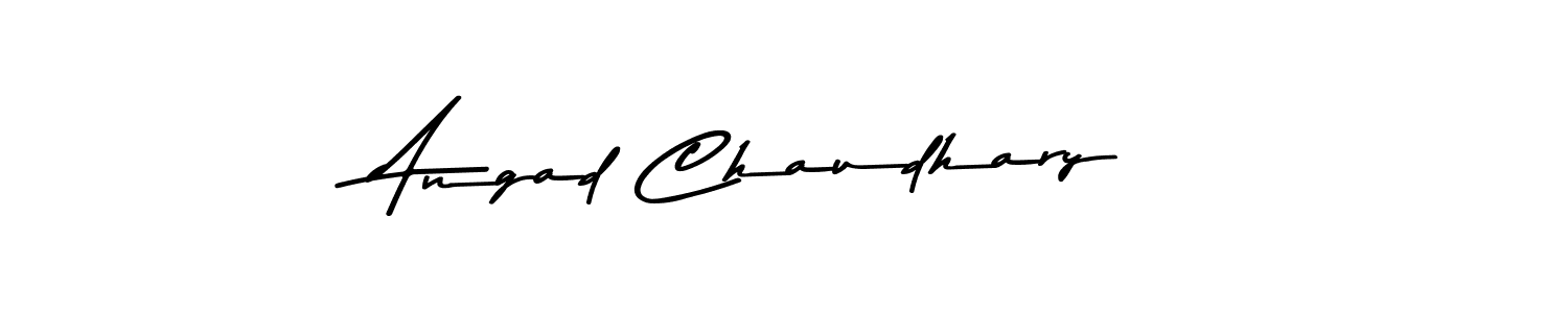 You should practise on your own different ways (Asem Kandis PERSONAL USE) to write your name (Angad Chaudhary) in signature. don't let someone else do it for you. Angad Chaudhary signature style 9 images and pictures png