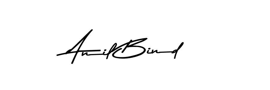 You should practise on your own different ways (Asem Kandis PERSONAL USE) to write your name (Anil Bind) in signature. don't let someone else do it for you. Anil Bind signature style 9 images and pictures png