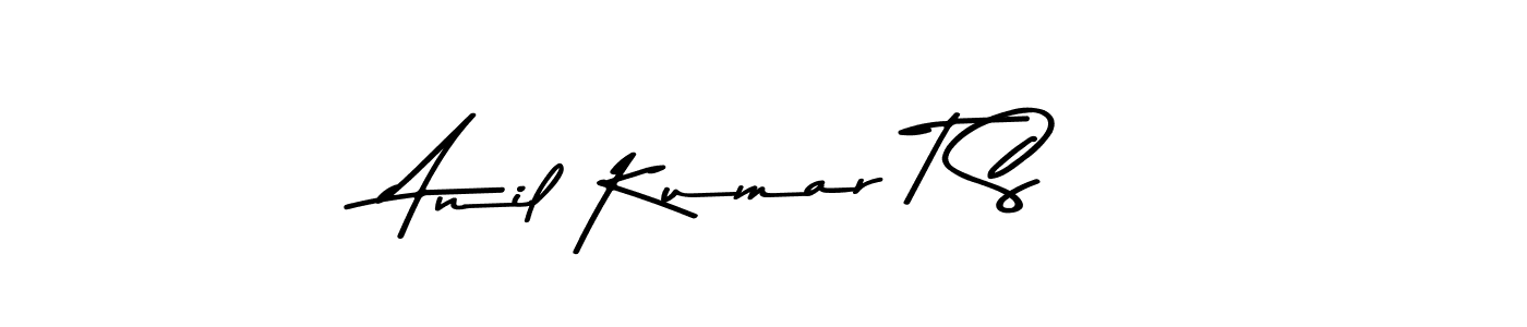 Make a short Anil Kumar T S signature style. Manage your documents anywhere anytime using Asem Kandis PERSONAL USE. Create and add eSignatures, submit forms, share and send files easily. Anil Kumar T S signature style 9 images and pictures png