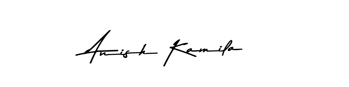 You should practise on your own different ways (Asem Kandis PERSONAL USE) to write your name (Anish Kamila) in signature. don't let someone else do it for you. Anish Kamila signature style 9 images and pictures png