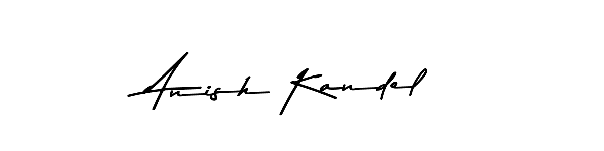 You should practise on your own different ways (Asem Kandis PERSONAL USE) to write your name (Anish Kandel) in signature. don't let someone else do it for you. Anish Kandel signature style 9 images and pictures png