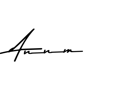 You should practise on your own different ways (Asem Kandis PERSONAL USE) to write your name (Annm) in signature. don't let someone else do it for you. Annm signature style 9 images and pictures png