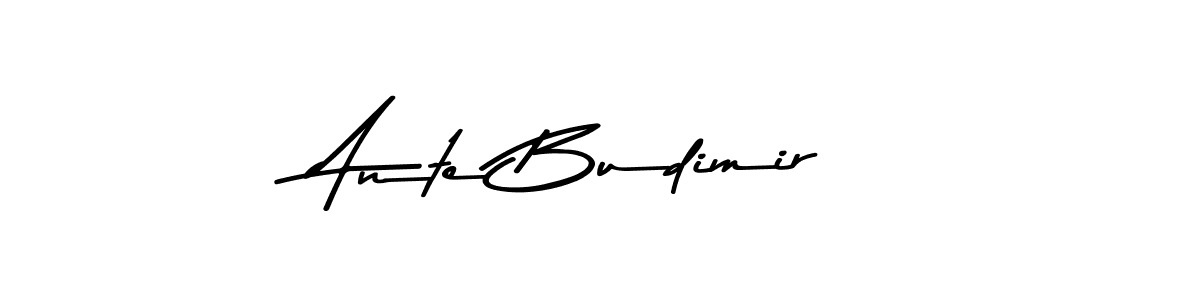 Asem Kandis PERSONAL USE is a professional signature style that is perfect for those who want to add a touch of class to their signature. It is also a great choice for those who want to make their signature more unique. Get Ante Budimir name to fancy signature for free. Ante Budimir signature style 9 images and pictures png
