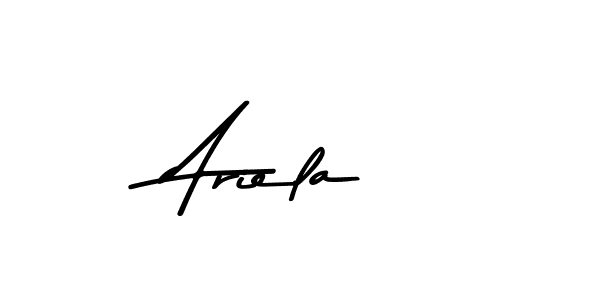 You should practise on your own different ways (Asem Kandis PERSONAL USE) to write your name (Ariela) in signature. don't let someone else do it for you. Ariela signature style 9 images and pictures png