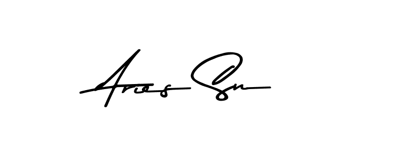 You can use this online signature creator to create a handwritten signature for the name Aries Sn. This is the best online autograph maker. Aries Sn signature style 9 images and pictures png