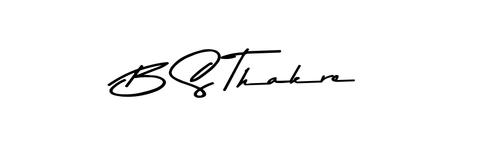 You should practise on your own different ways (Asem Kandis PERSONAL USE) to write your name (B S Thakre) in signature. don't let someone else do it for you. B S Thakre signature style 9 images and pictures png